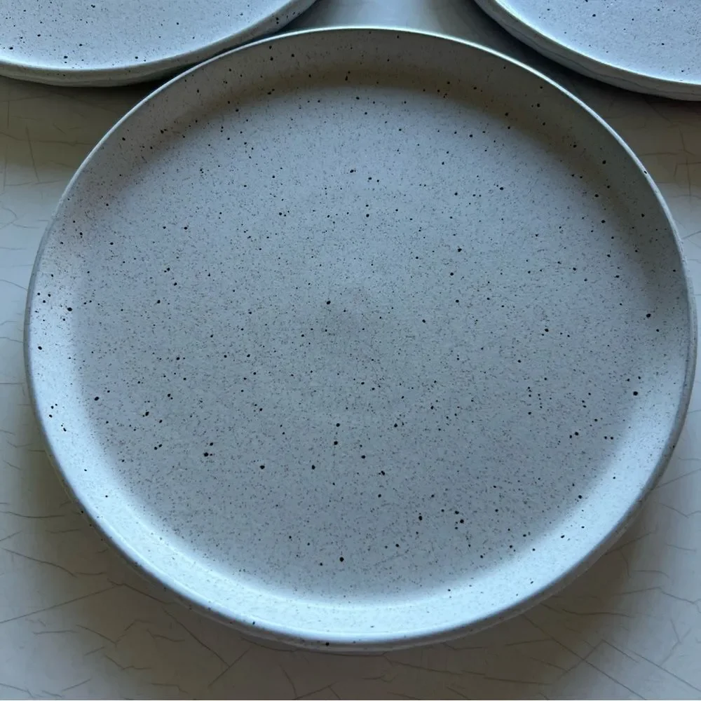 Sango stoneware plate with a speckled glaze. speckled design rustic, farmhouse
